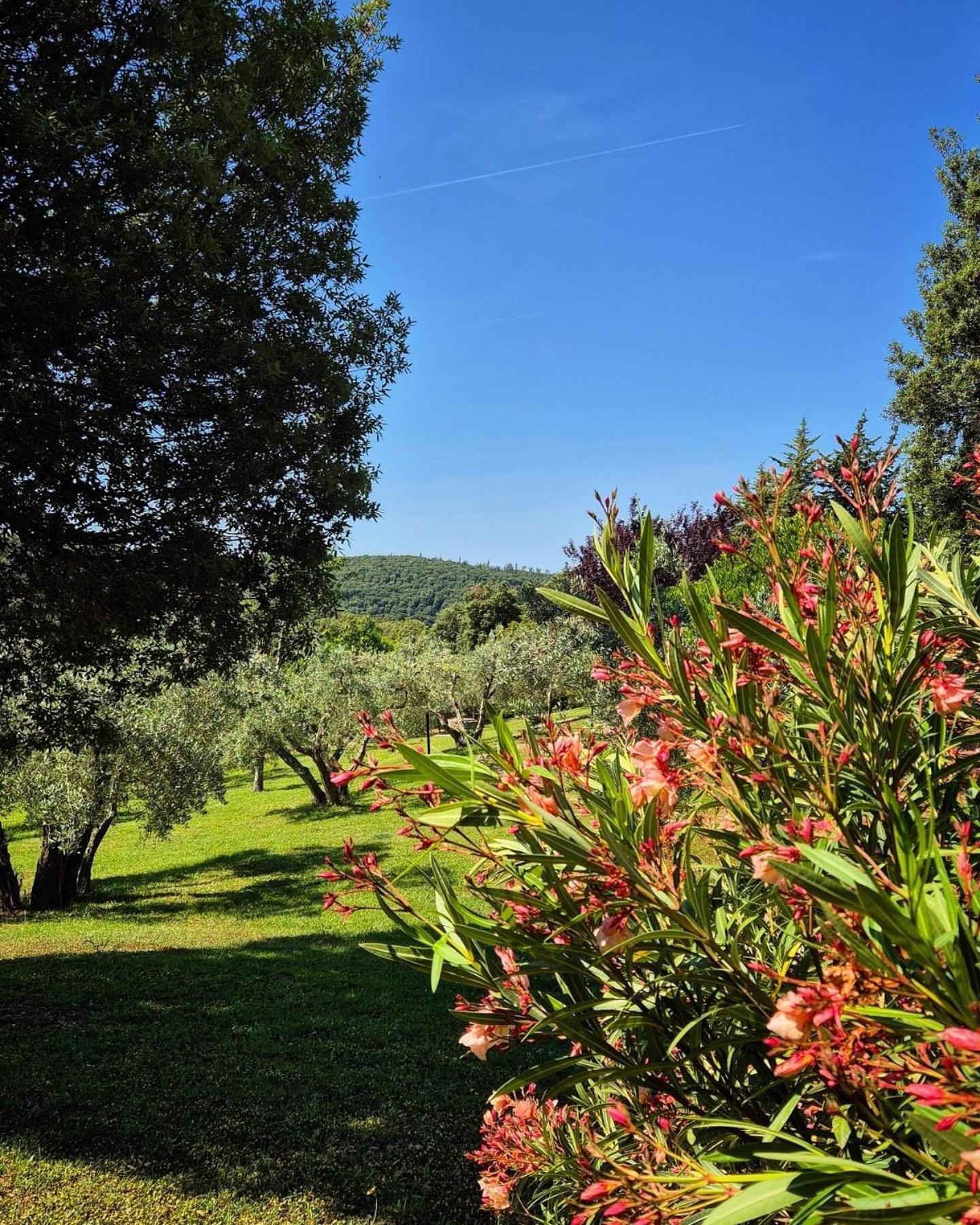 Tenuta Aronne Massa Marittima Exterior foto