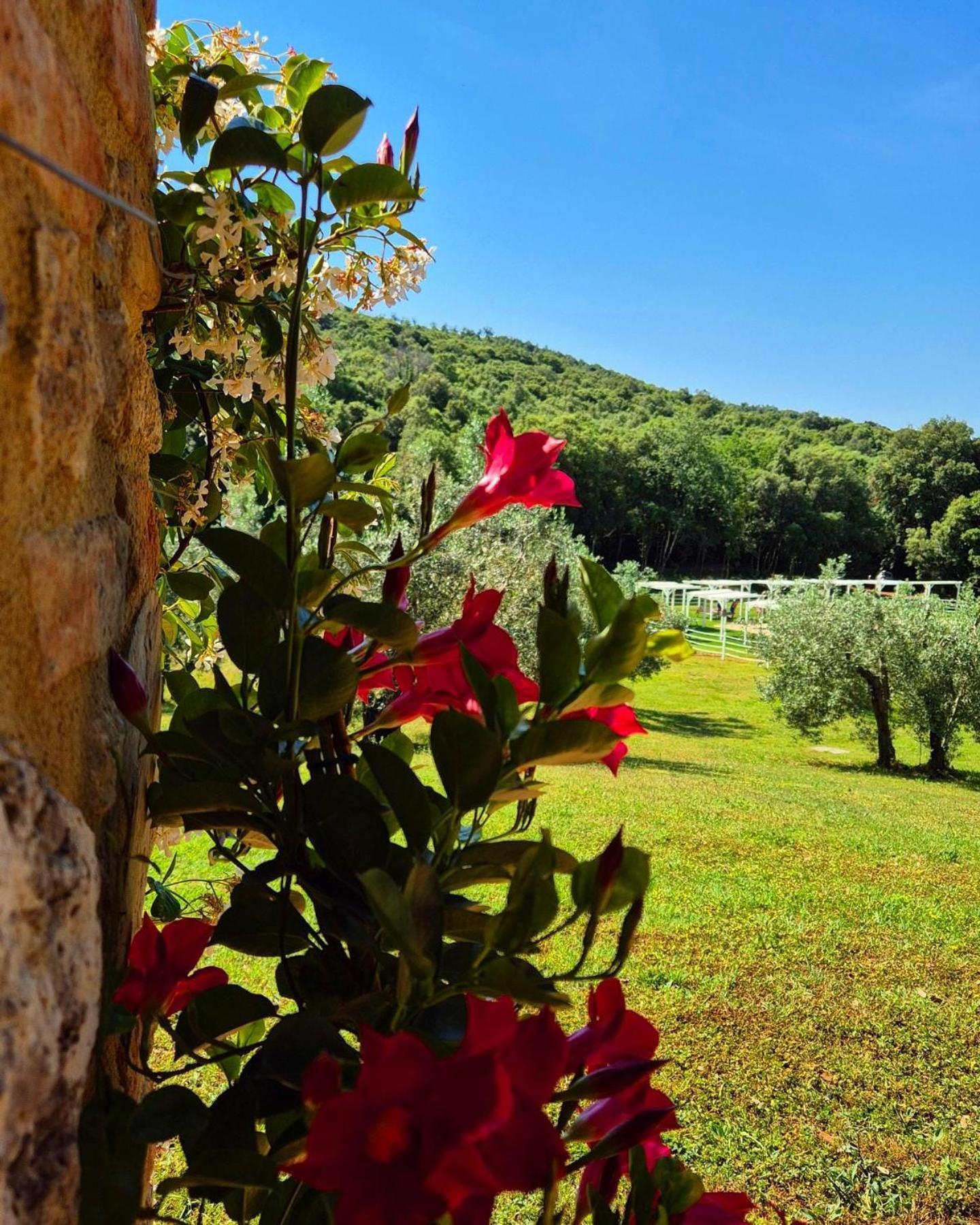 Tenuta Aronne Massa Marittima Exterior foto